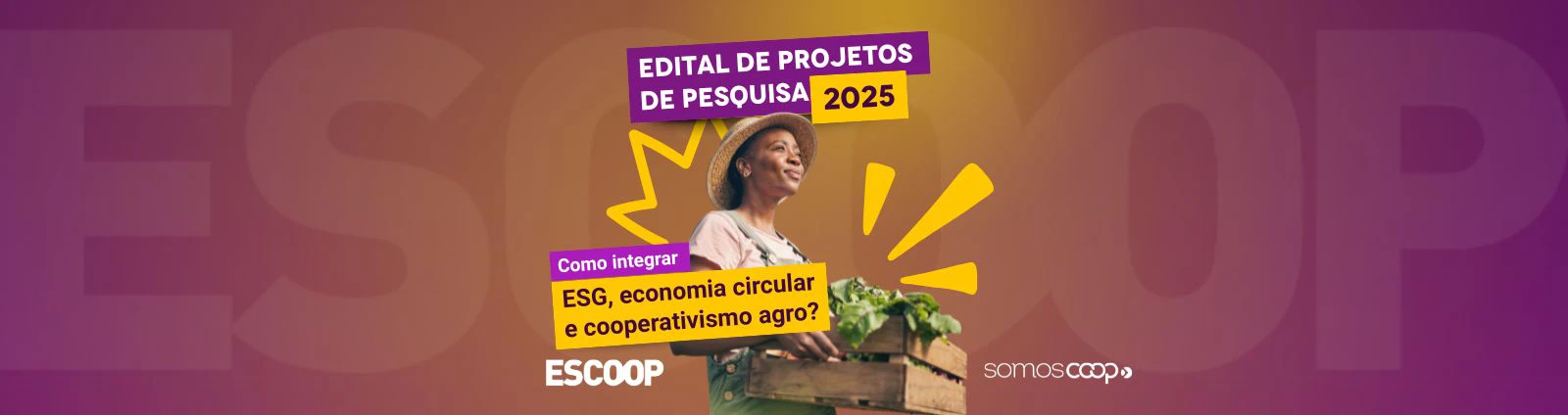 A convergência entre ESG e sociedades cooperativas