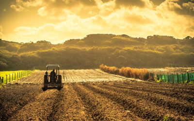 Identificação de Características das Cooperativas Agropecuárias que Influenciam a Geração de Valor Adicionado